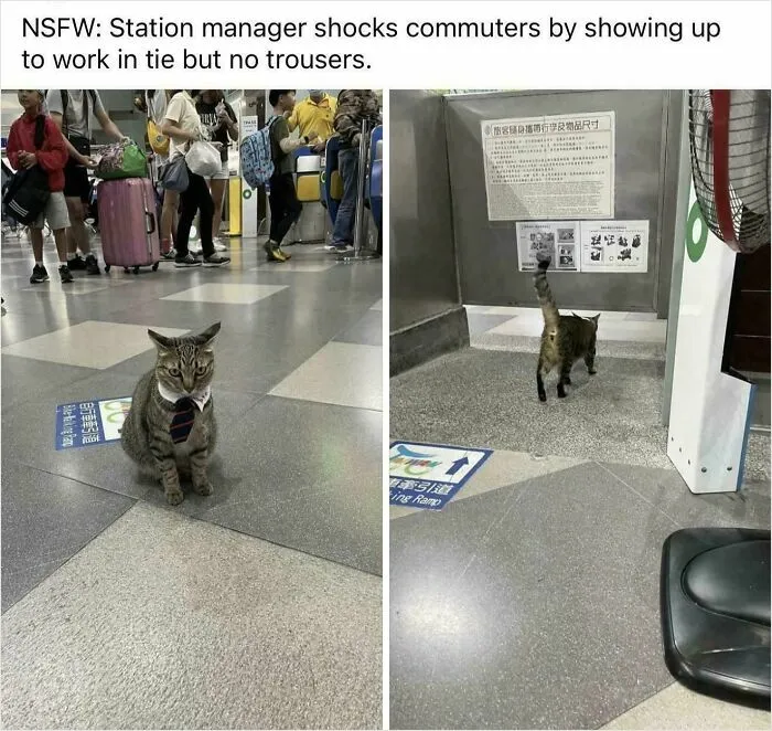 Station Manager