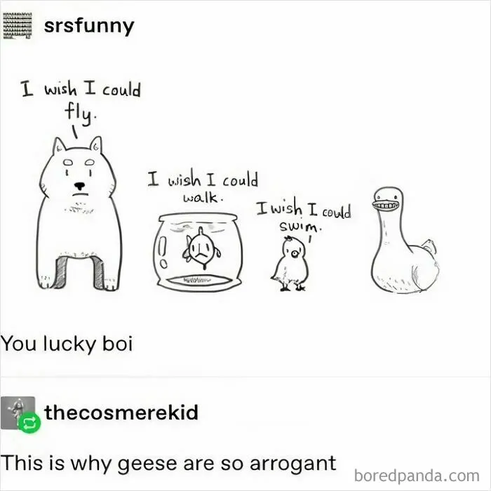 Geese