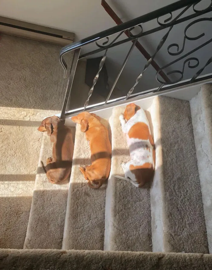 They Do This Every Day At The Same Time