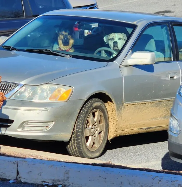 These Fellas Look Highly Suspicious, Also The Car May Be Stolen. Not Sure If I Should Report It Or Not