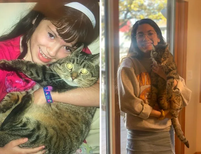 Not Feeling Ready To Say Goodbye To My Nearly 19 Year Old Childhood Cat