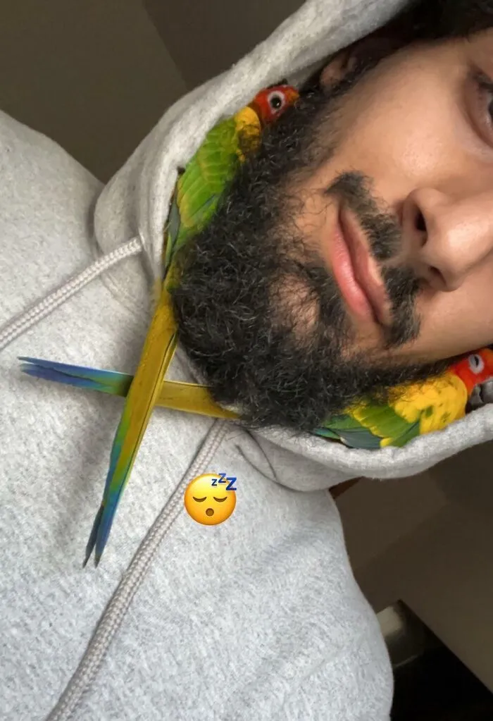Sleepy