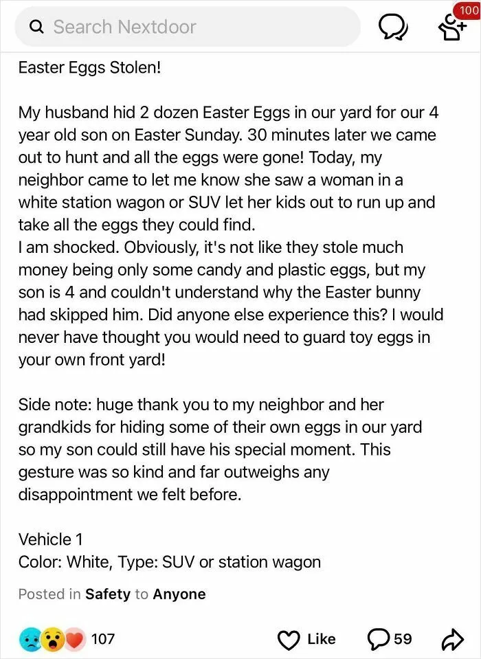 Mom Has Easter Eggs She Hid For Her Son Stolen In 30 Minutes. Found On Neighborhood App In My Hometown