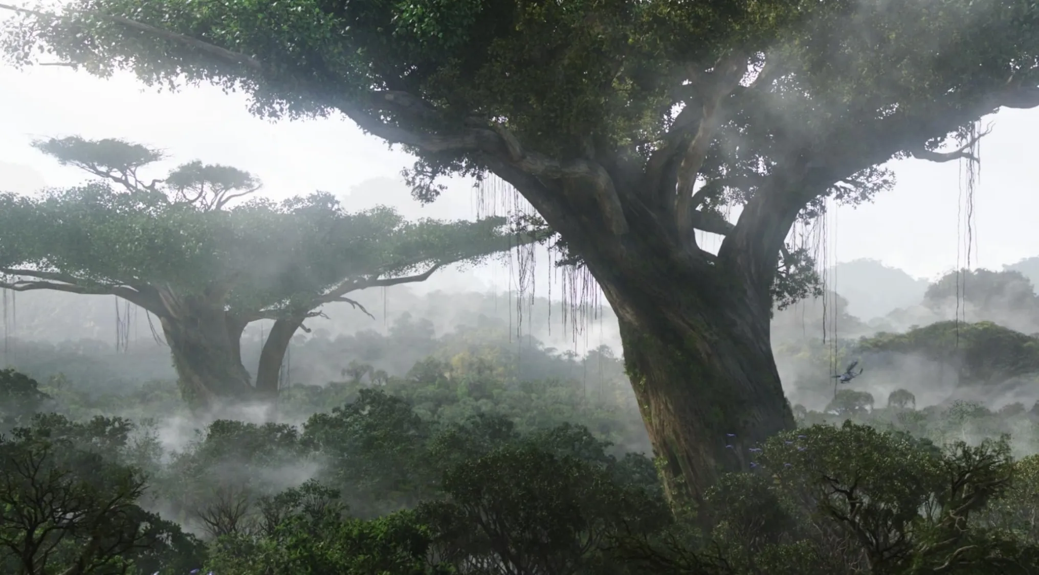 Massive trees in a misty forest scene from the highest grossing film of all time, featuring lush greenery and fog.