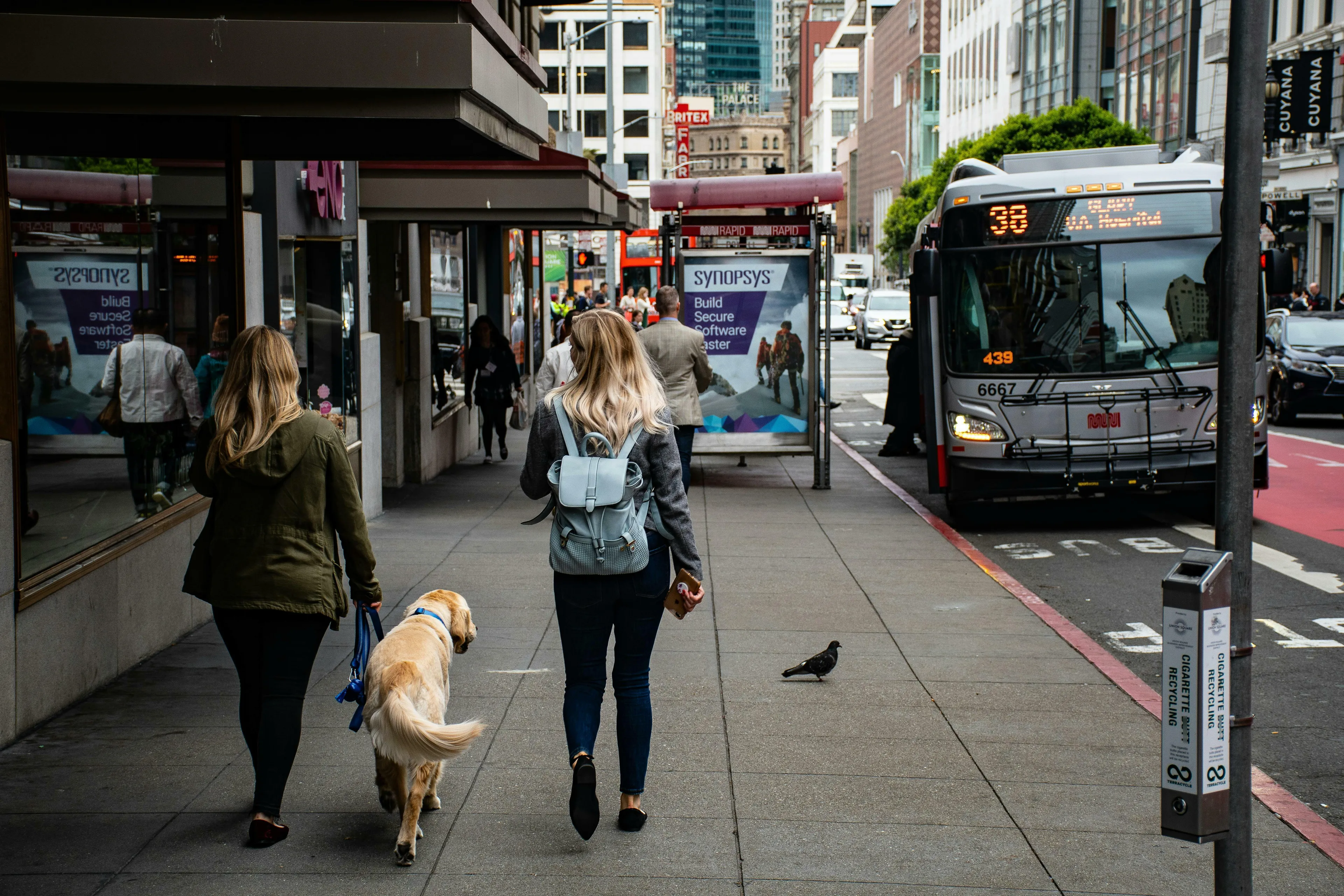 Two women walking a dog on a busy city sidewalk with a bus approaching, reflecting what you first notice entering a new city.