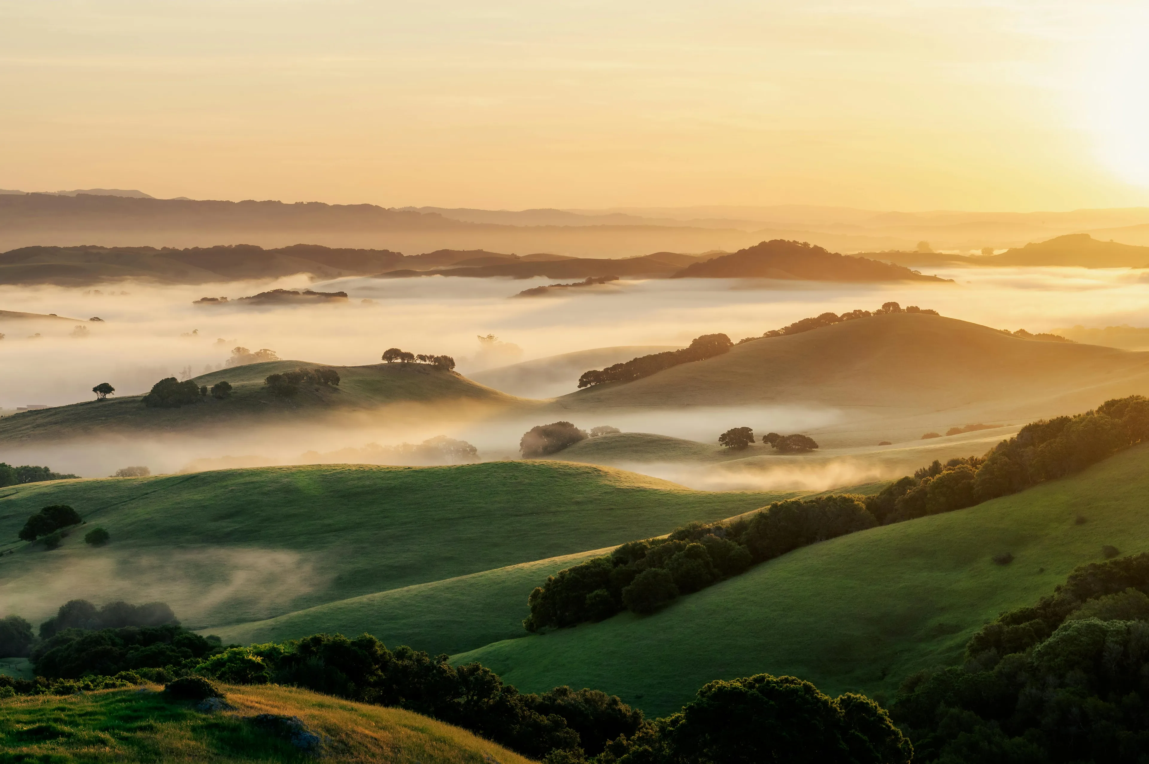 Rolling fog over green hills at sunrise creating a serene weather phenomenon to watch in nature.
