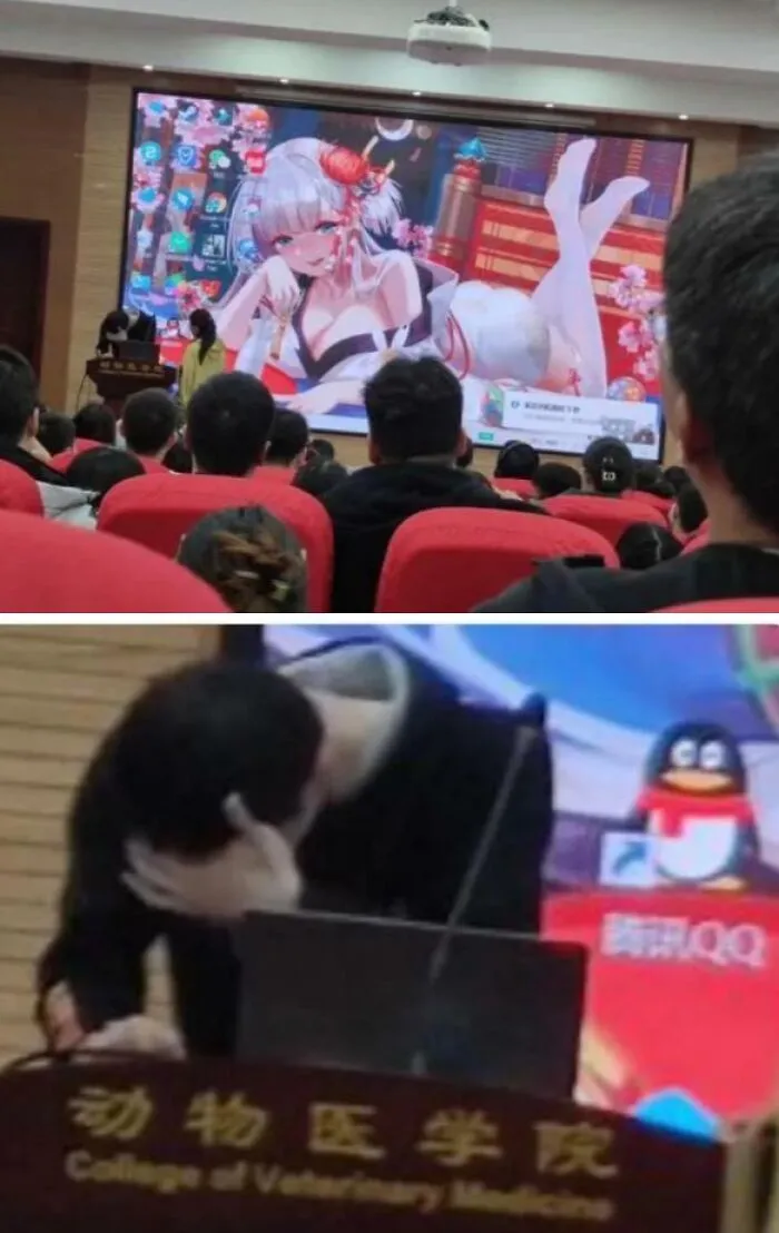 Audience watching a presentation with a person covering their face in embarrassment, featuring a confusing anime image on screen.