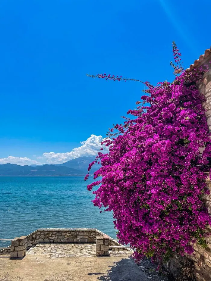 Spring Time In My Hometown In Greece