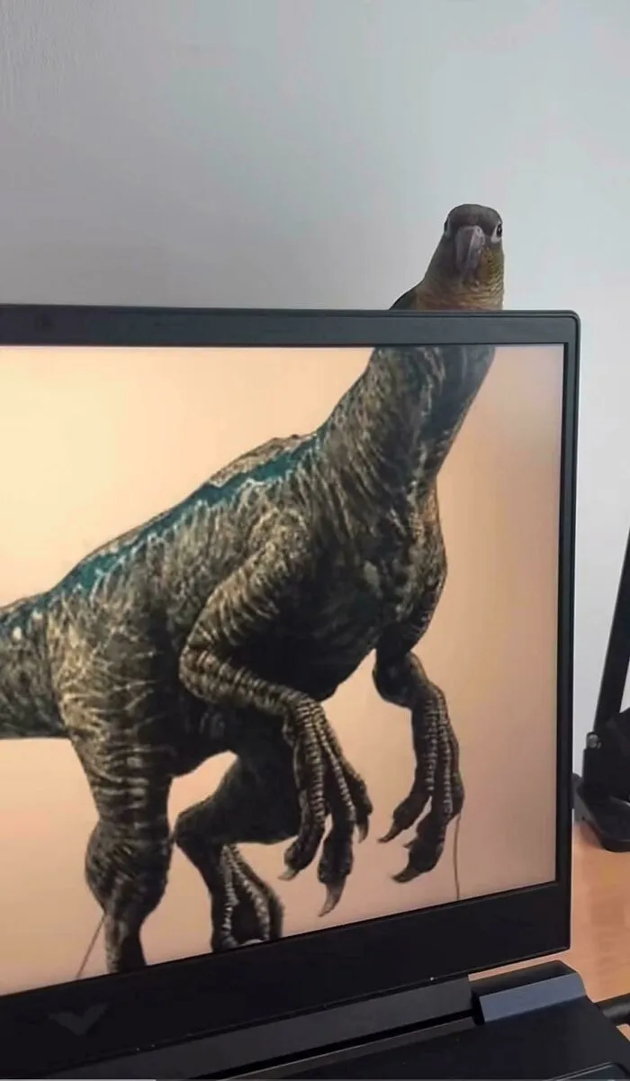 Hmmm