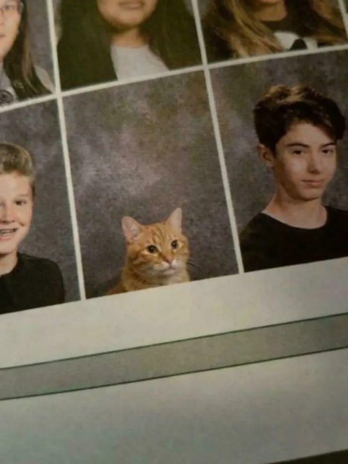 Hmmm