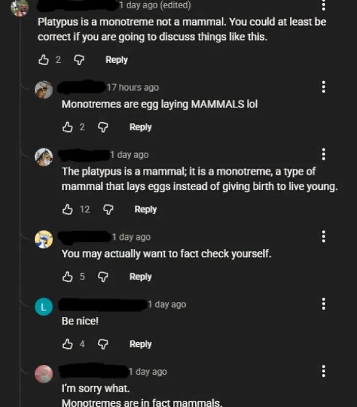 Online discussion with people confidently wrong about platypus facts, illustrating common mistakes and fact-checking errors.