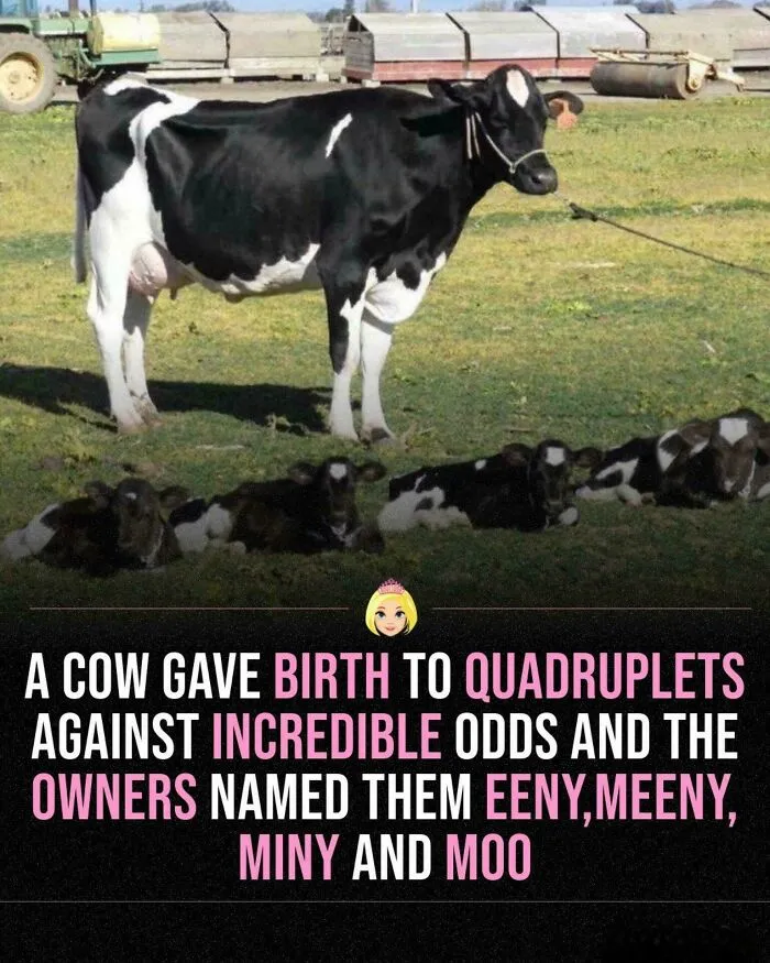 Beautiful Family
