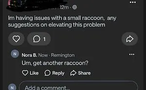 73 Wild Moments Shared From People’s Strange And Weird Neighbors On NextDoor (New Pics)