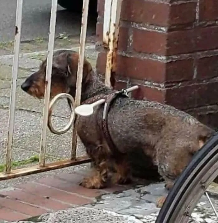 Hmmm