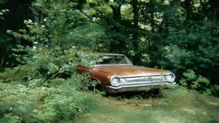 The Real Christine, A 1964 Dodge 330 With A Confirmed Total Of 14 Owners, Each Owner Passing Away Before The Next