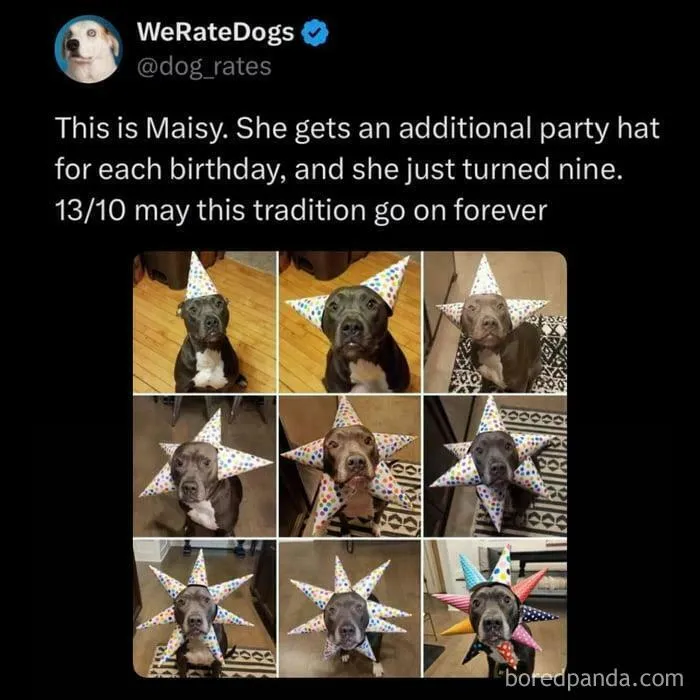 Maisy's Party Hat Collection Is Truly Inspiring