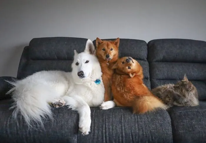 Family Photo