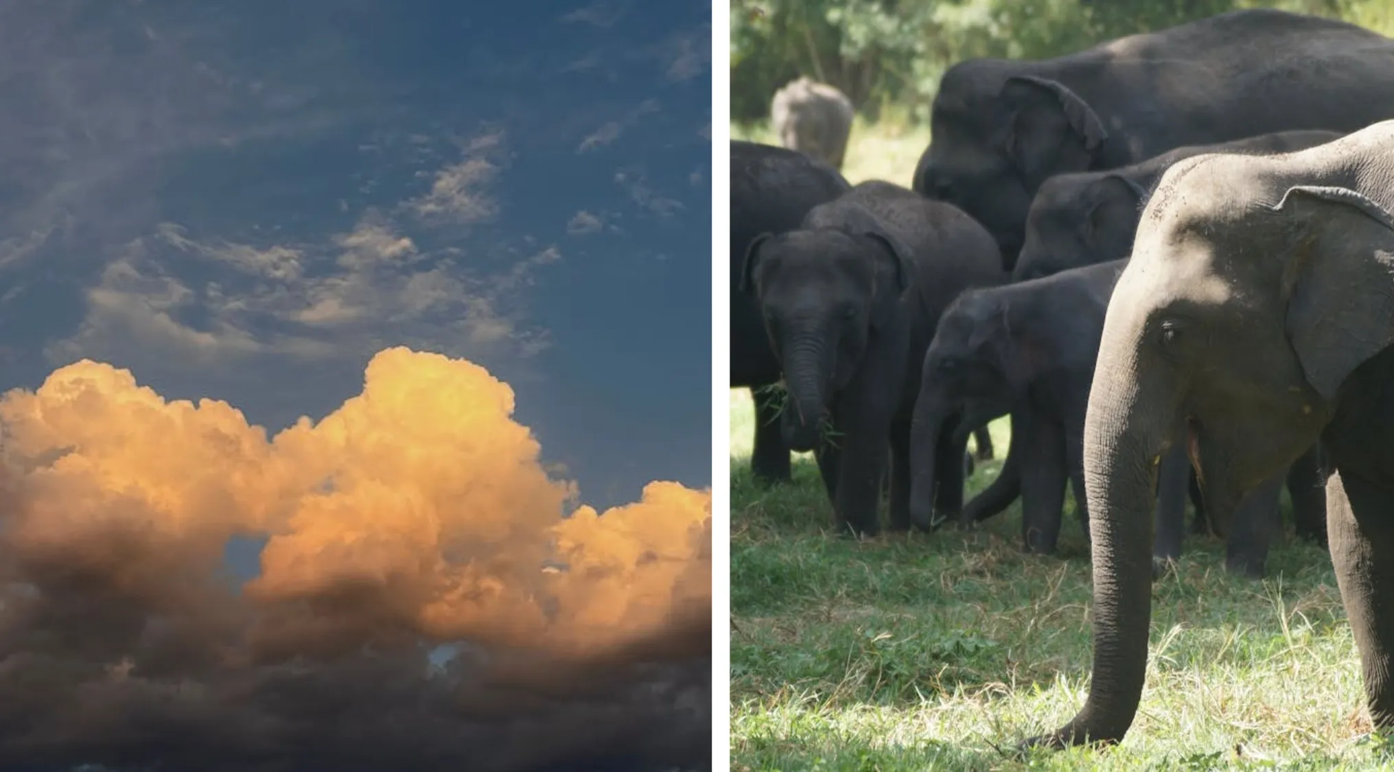 Large fluffy clouds illuminated by sunlight against a blue sky illustrating science facts about cloud weight.