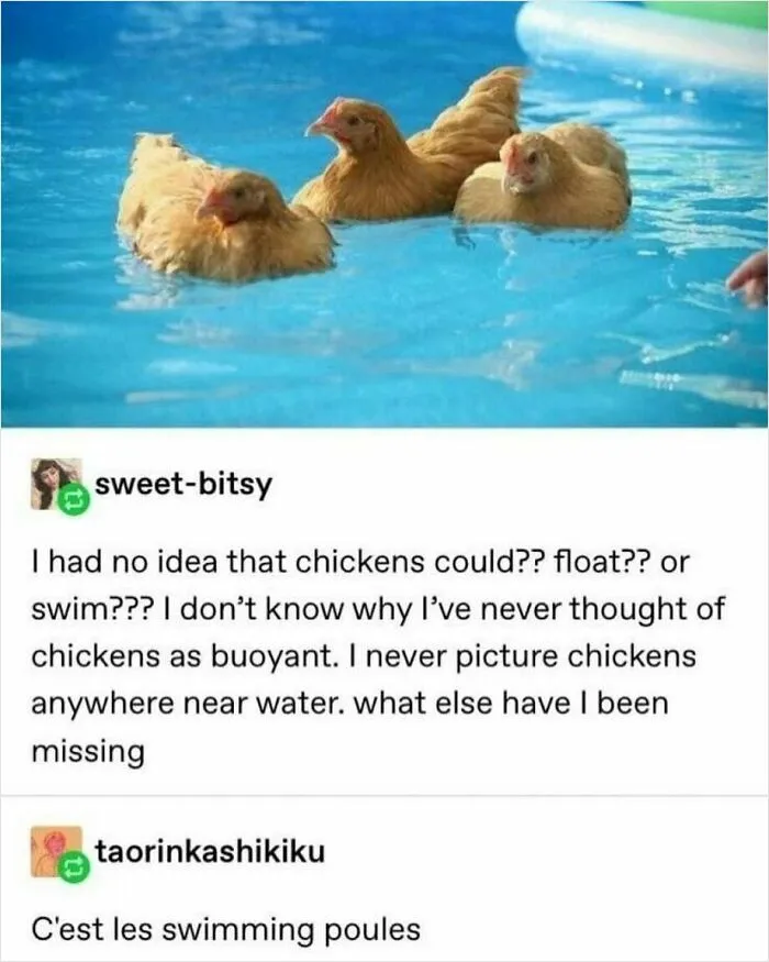 “I Hate It, Thank You”: 95 Funny Tumblr Posts And Memes From A Platform Some Thought Was Obsolete