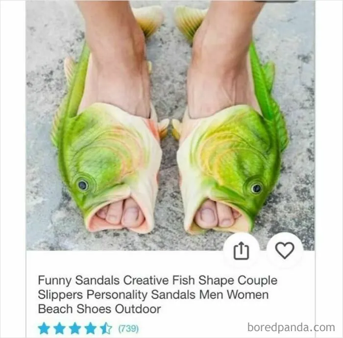 69 Times Online Shopping On Wish Took A Wild And Unexpected Turn