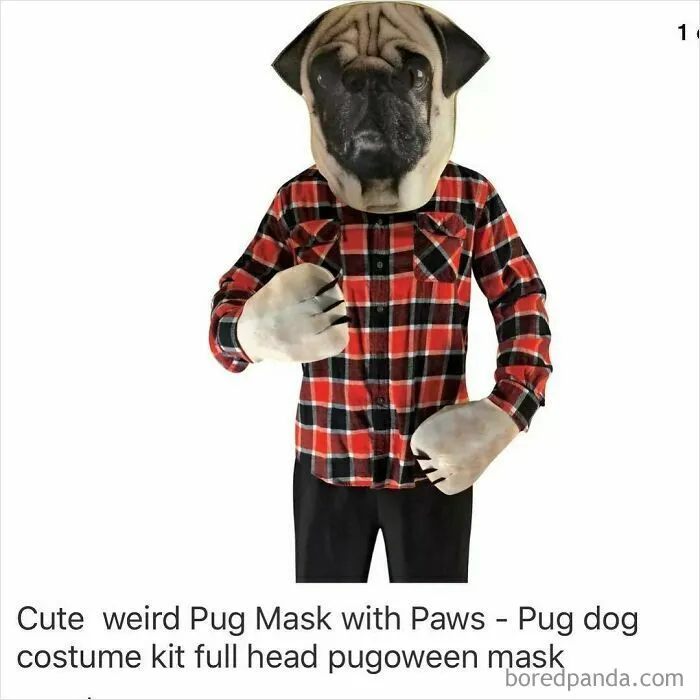 69 Times Online Shopping On Wish Took A Wild And Unexpected Turn