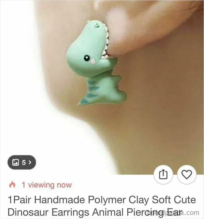 69 Times Online Shopping On Wish Took A Wild And Unexpected Turn