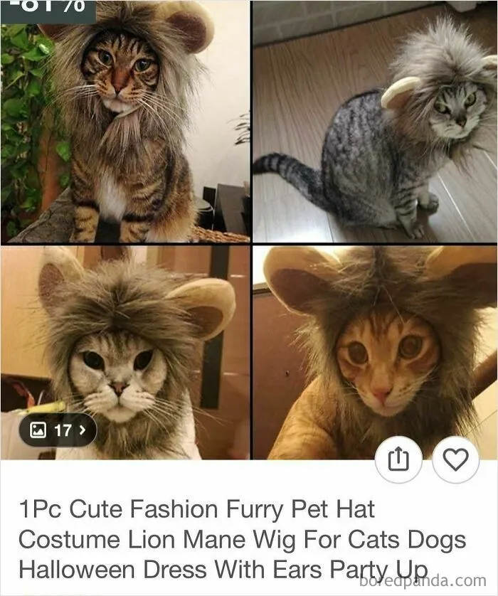 69 Times Online Shopping On Wish Took A Wild And Unexpected Turn