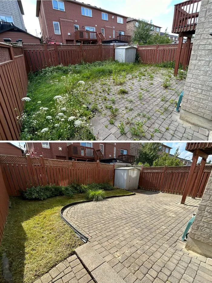 Before/After Of A Backyard I Cleaned Up