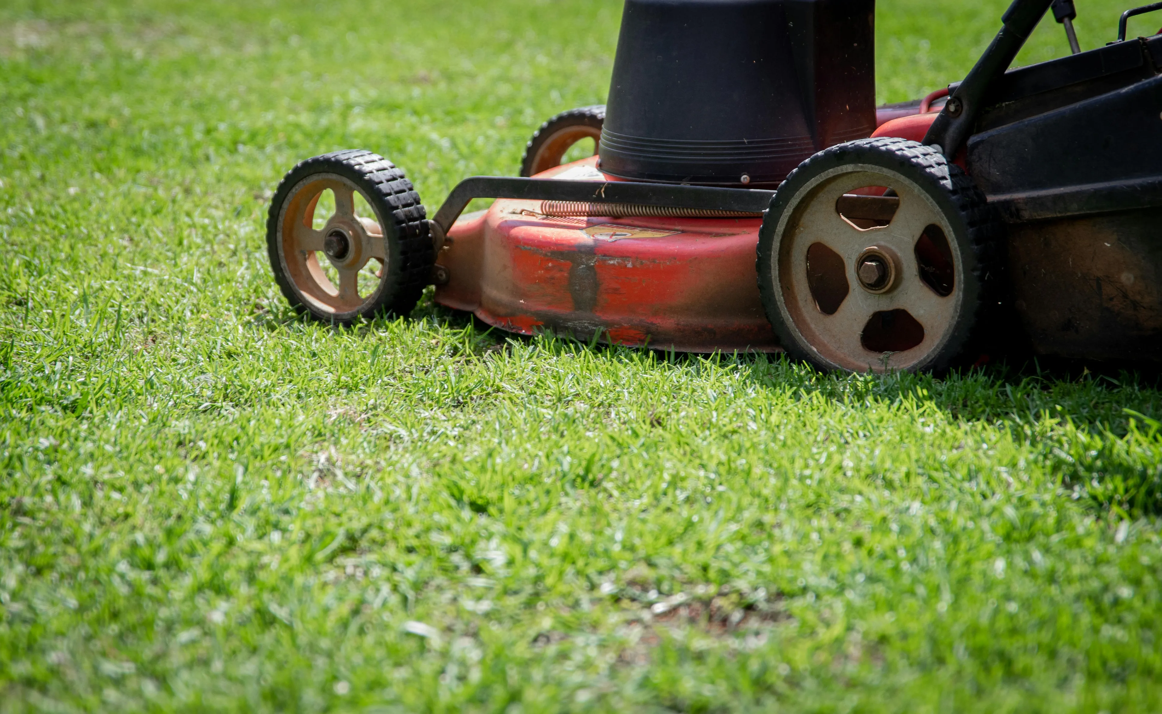 Lawn mower cutting fresh green grass, capturing the essence of the cut grass smell in a sunny outdoor setting.