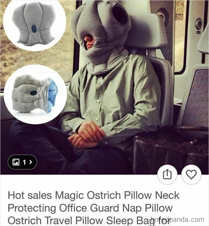 69 Times Online Shopping On Wish Took A Wild And Unexpected Turn