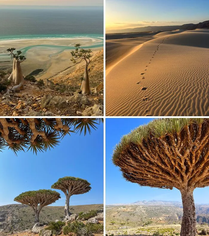 1 Week In Socotra, Yemen