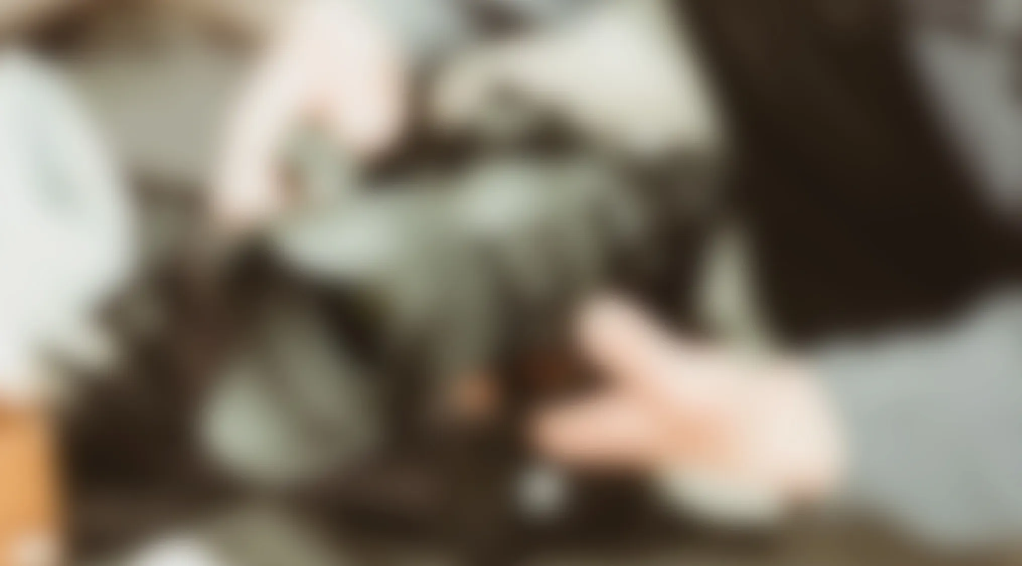 Blurry image of a person gently petting a dark-colored dog indoors with soft natural lighting.