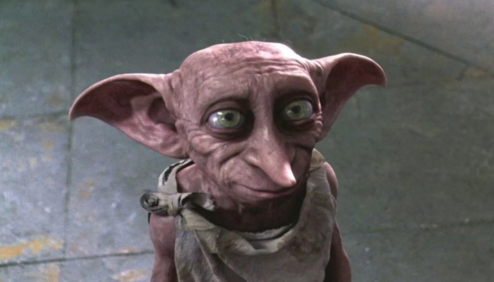 Dobby the fictional sidekick with large ears and green eyes, standing on a stone floor looking up.