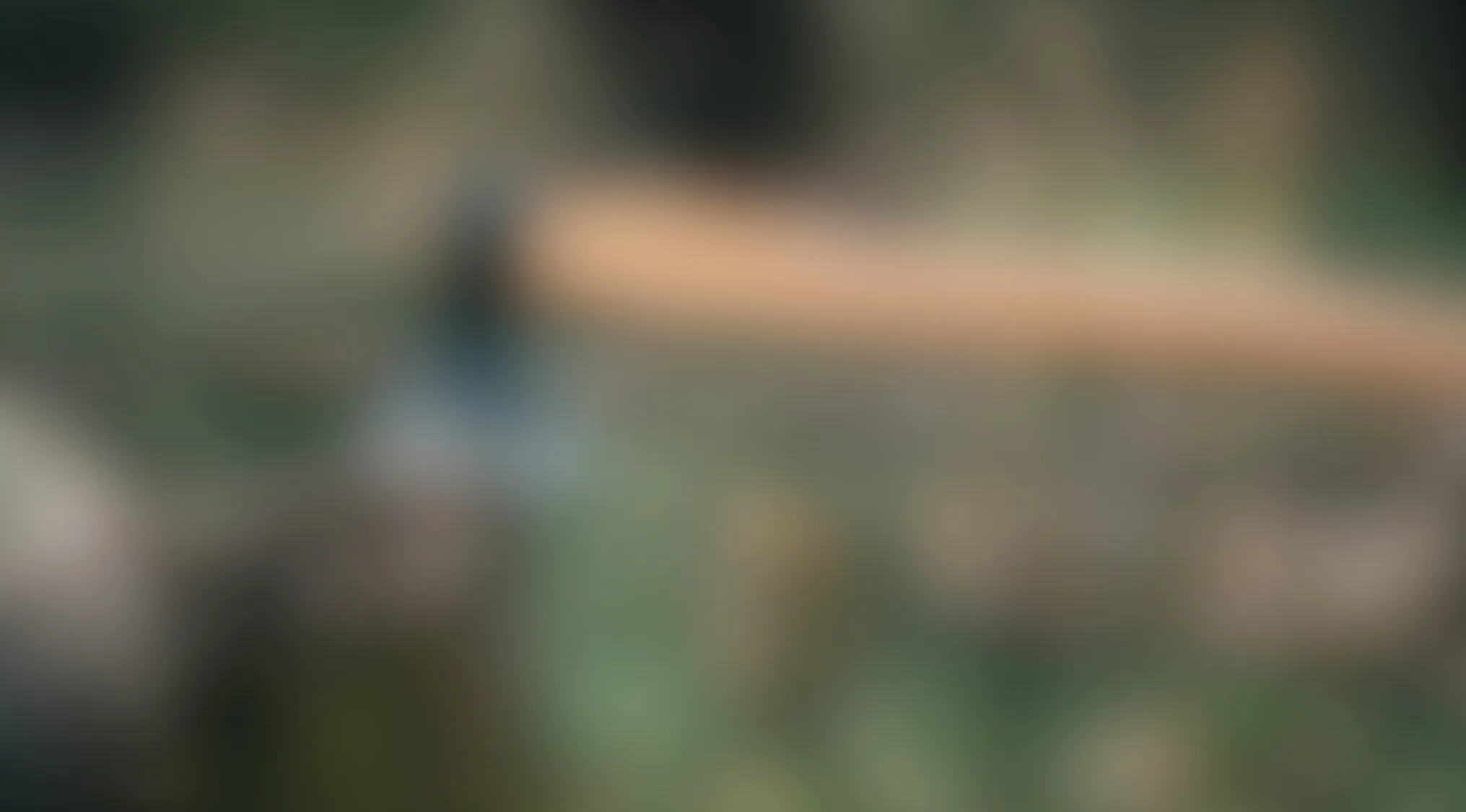 Blurry images showing an indistinct outdoor scene with muted colors and soft shapes in natural light.