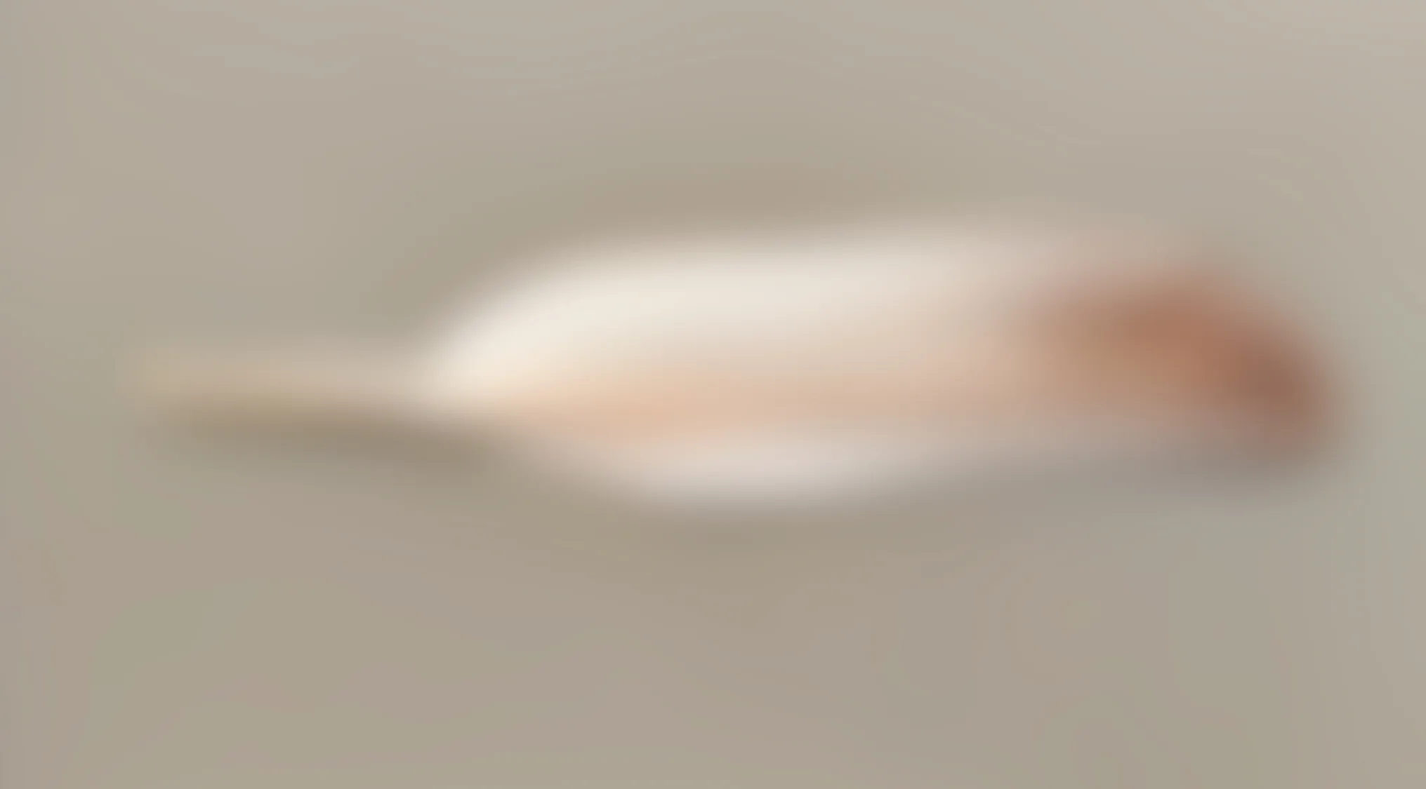 Blurry image showing an unidentified object with soft neutral colors and a rounded shape on a plain background