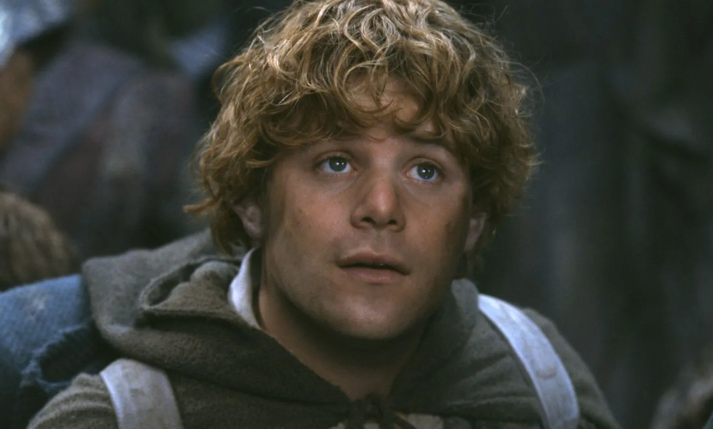 Samwise Gamgee looking hopeful with curly hair and cloak, embodying the ideal fictional sidekick for loyal support.