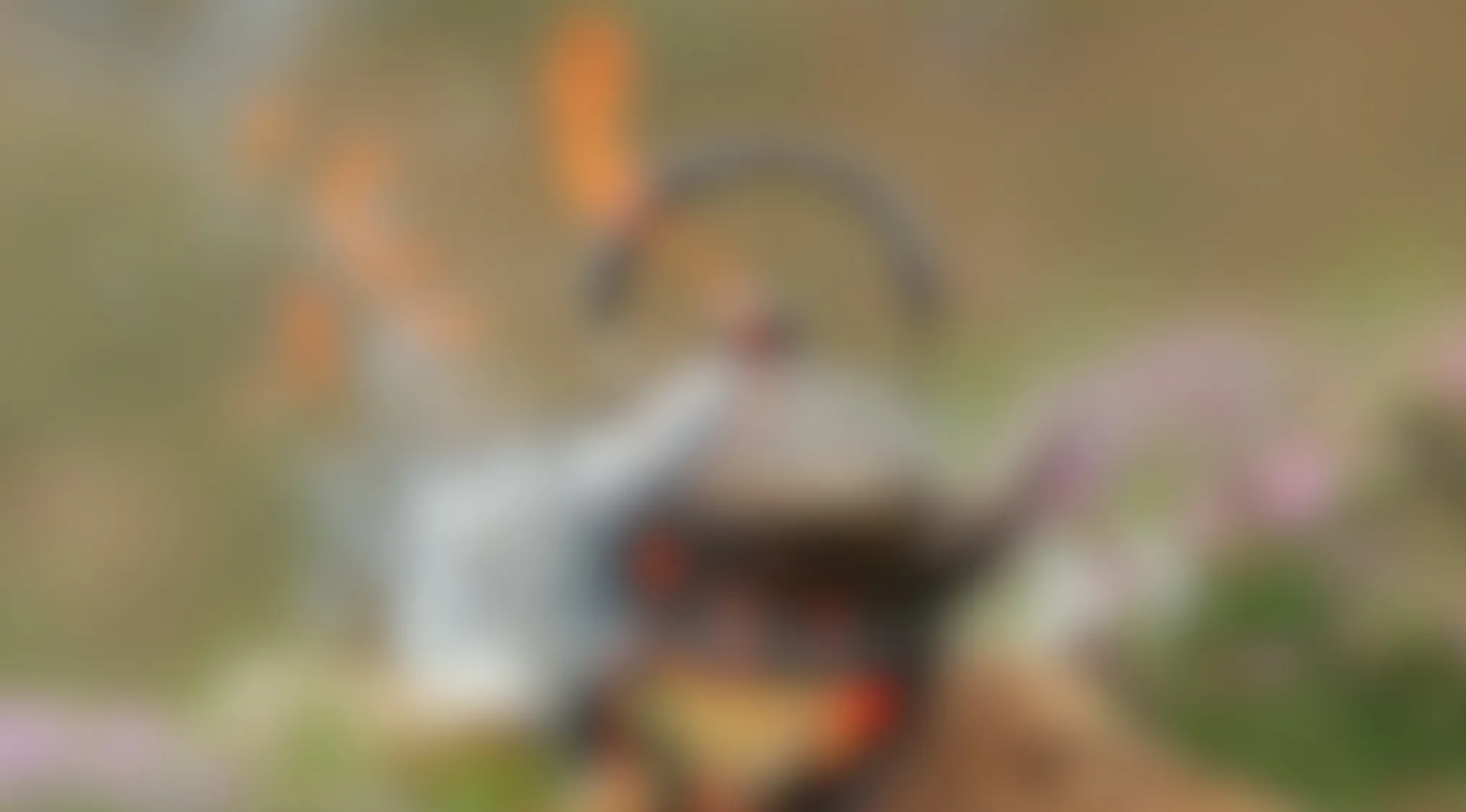Blurry image featuring indistinct shapes and colors blending in an outdoor natural setting with flowers and greenery.
