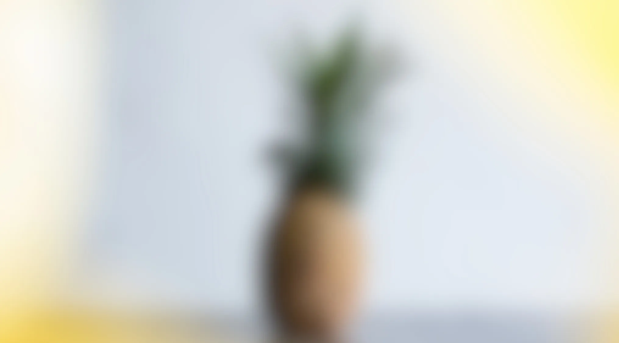 Blurry images showing a blurred object resembling a pineapple with green leaves on a light background.
