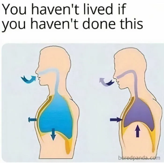 Diagram showing lung expansion and contraction during breathing illustrated with arrows and human profile, highlighting internet memes humor.