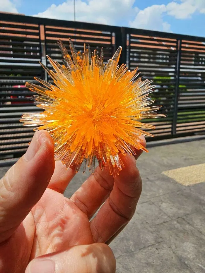 I Spent 6 Weeks Growing This Cluster Of Crystals From A Common Fertilizer Called Monoammonium Phosphate. Looks Like A Starburst!