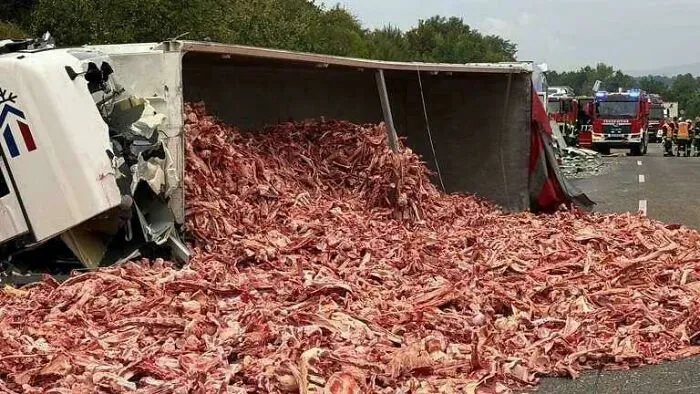 En Alemania, un camión completamente cargado de restos de carne volcó en la carretera.