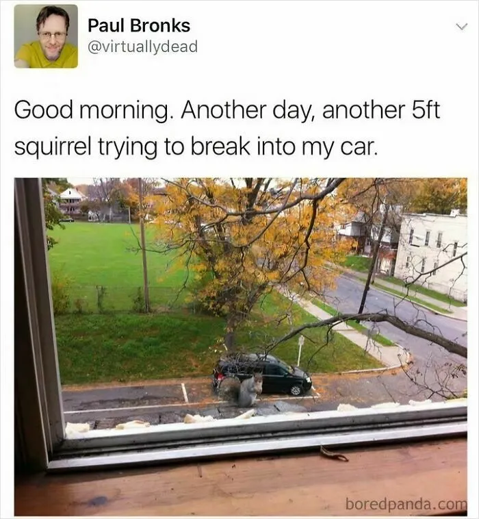 The British Create The Funniest Memes And Here Are 39 This Facebook Group Had To Offer