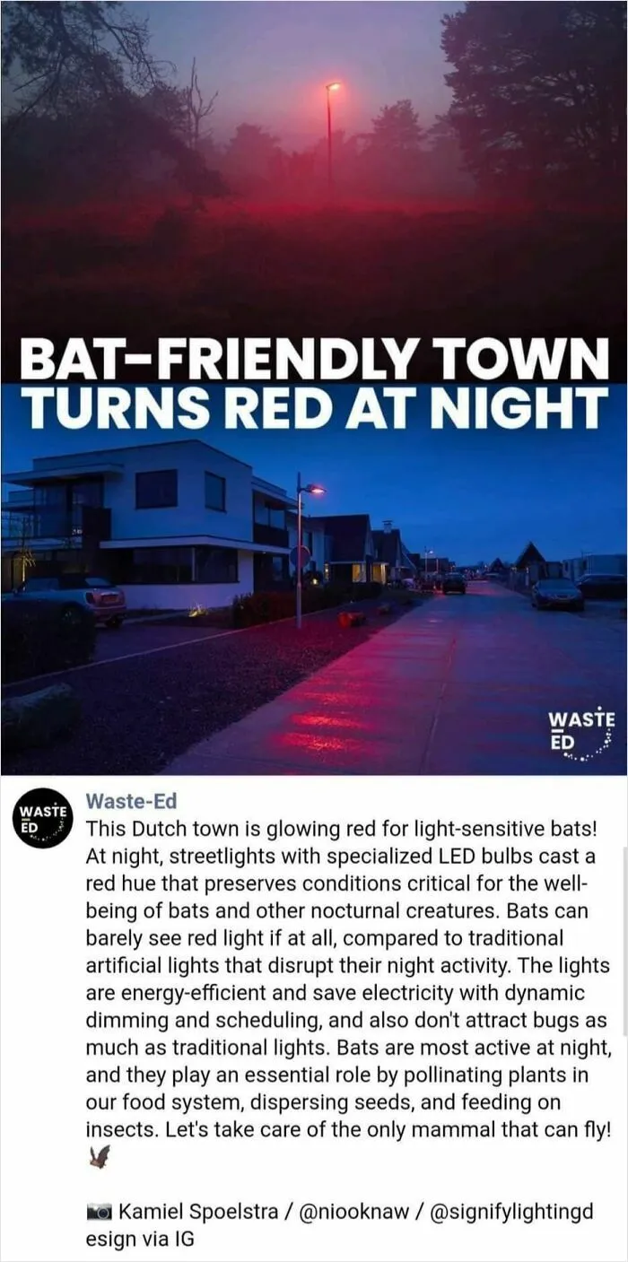 Bat-Friendly Street Lamps