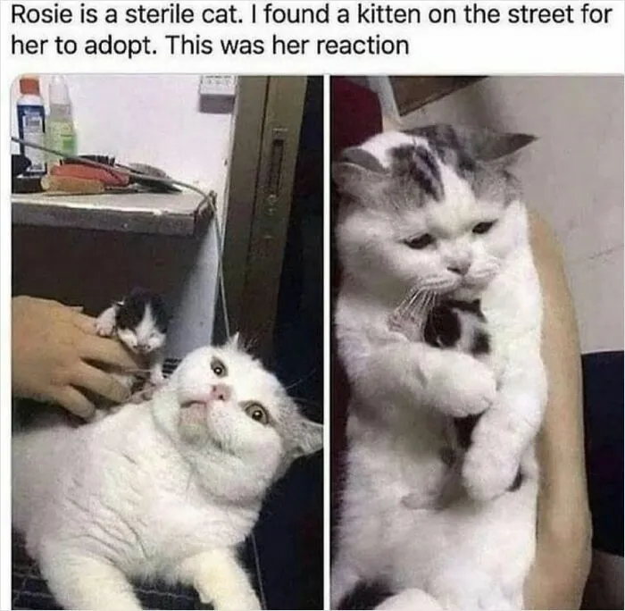 Mom