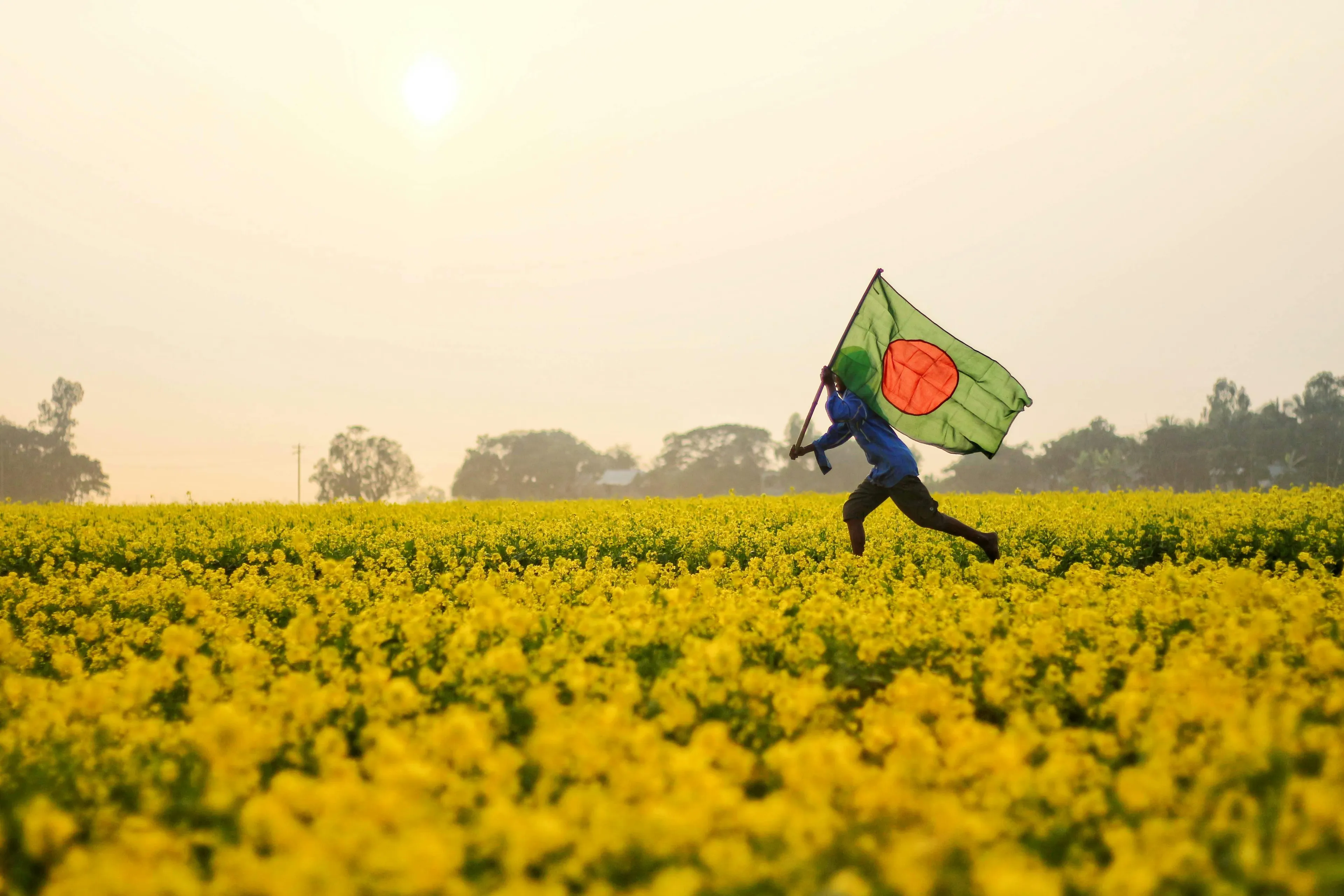 Person running through a yellow flower field holding the Bangladesh flag on a bright sunny day in Bangladesh.