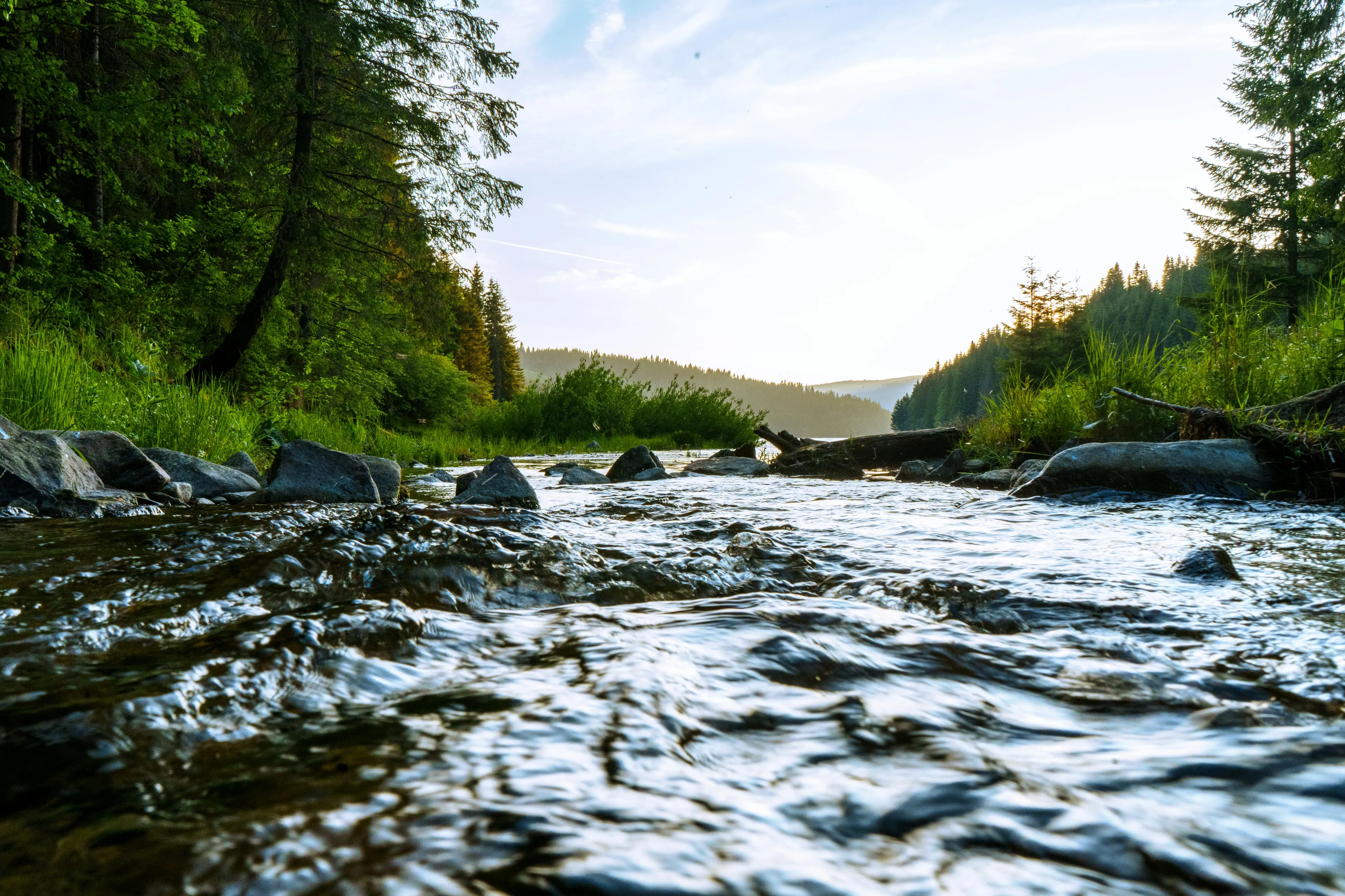 Flowing European river with surrounding forest and rocky riverbed, representing a general knowledge quiz on rivers.