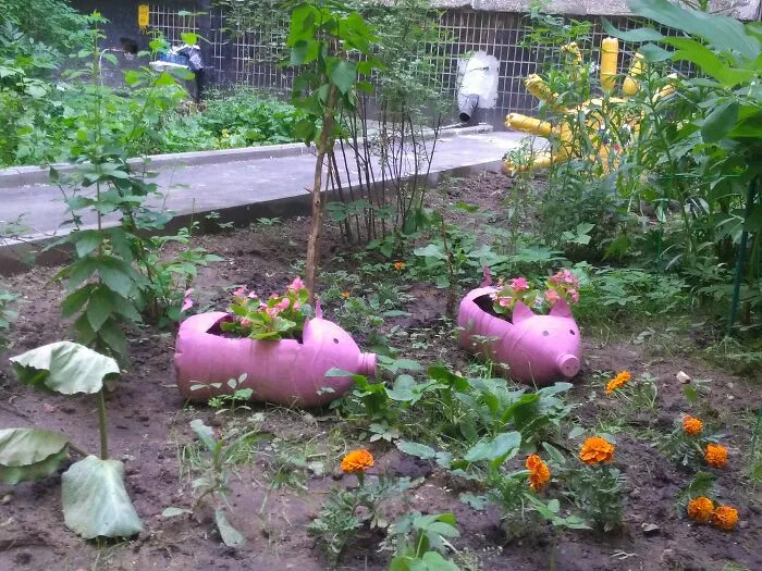 Two pink pig-shaped planters, repurposed from plastic bottles, hold pink flowers. A creative example of turning trash into something useful.