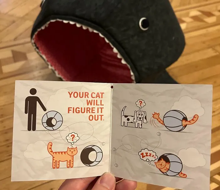 Cat Bed Instructions: “Your Cat Will Figure It Out”