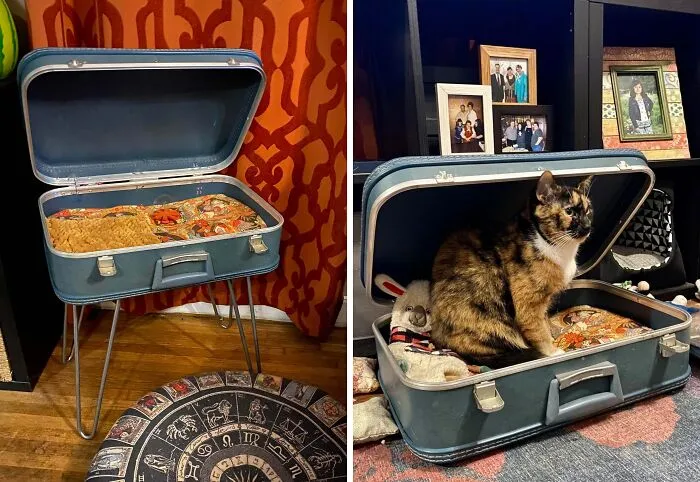 I Turned An Old Suitcase Into A Cat Bed