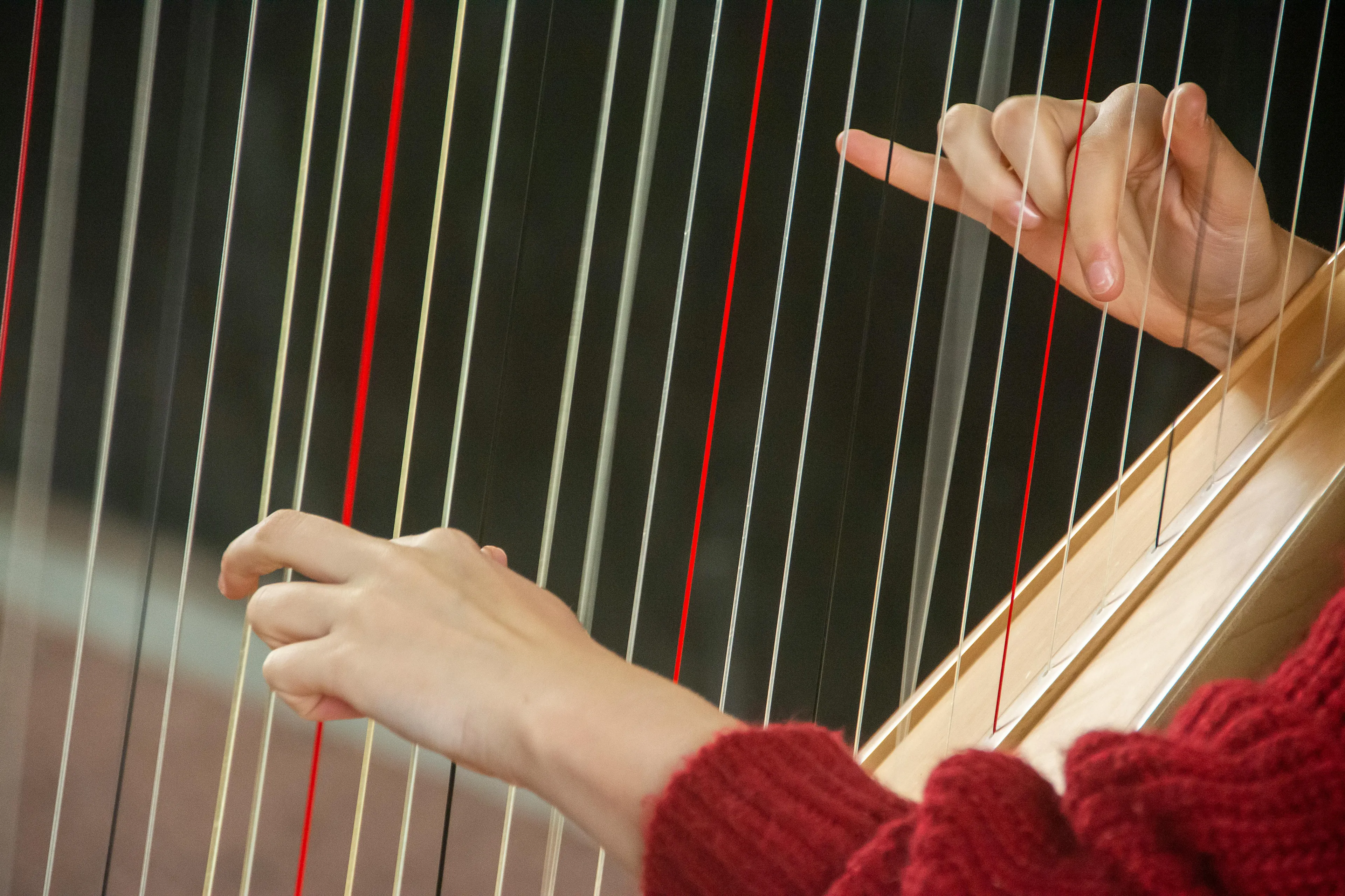 Hands plucking strings on a harp, with focus on the delicate playing technique and vibrant strings.